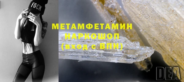 мдпв Ельня