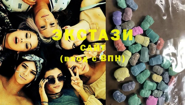 мдпв Ельня
