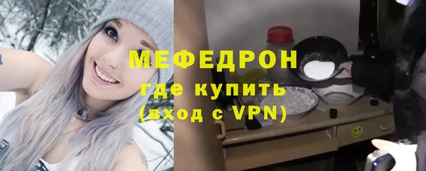 мдпв Ельня