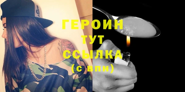 мдпв Ельня