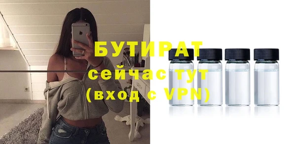 мдпв Ельня
