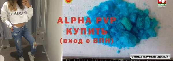 мдпв Ельня