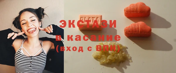мдпв Ельня