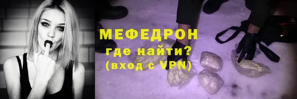 мдпв Ельня