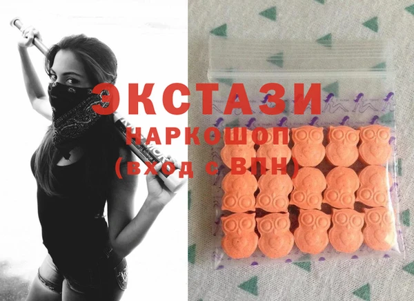 мдпв Ельня