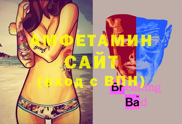 мдпв Ельня