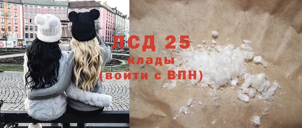 мдпв Ельня