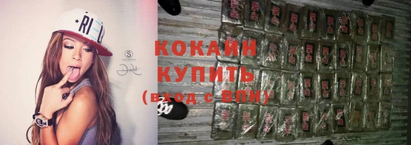 мдпв Ельня