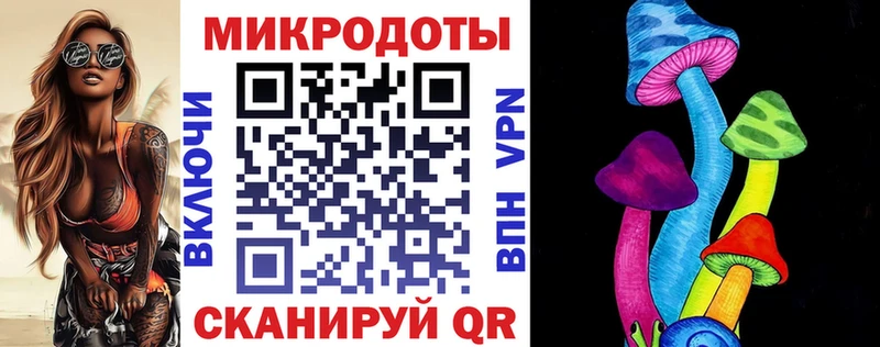 Псилоцибиновые грибы Cubensis Кыштым